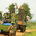 Giraffe Translocation